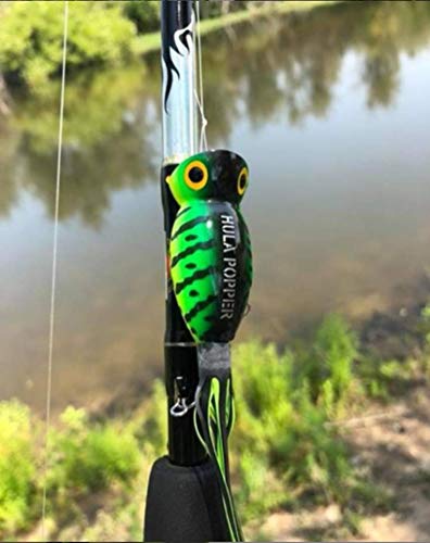 Arbogast Hula Popper Topwater Fishing Lure, Coach Dog Orange Belly, G760 (2 in, 3/8 oz) - Image 5