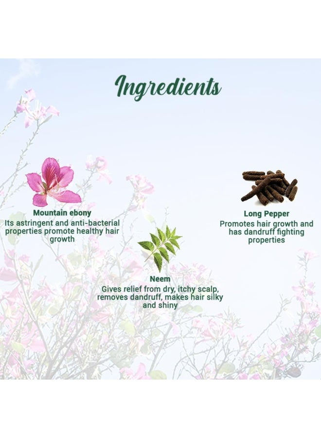 بيوتيك سيروم بيوتيك بايو ماونتن إيبوني المنشط | يمنع تساقط الشعر ويهدئ فروة الرأس | يعزز نمو الشعر | مستخلصات نباتية ١٠٠٪ | مناسب لجميع أنواع البشرة | ٢٠٠ مل - Image 4