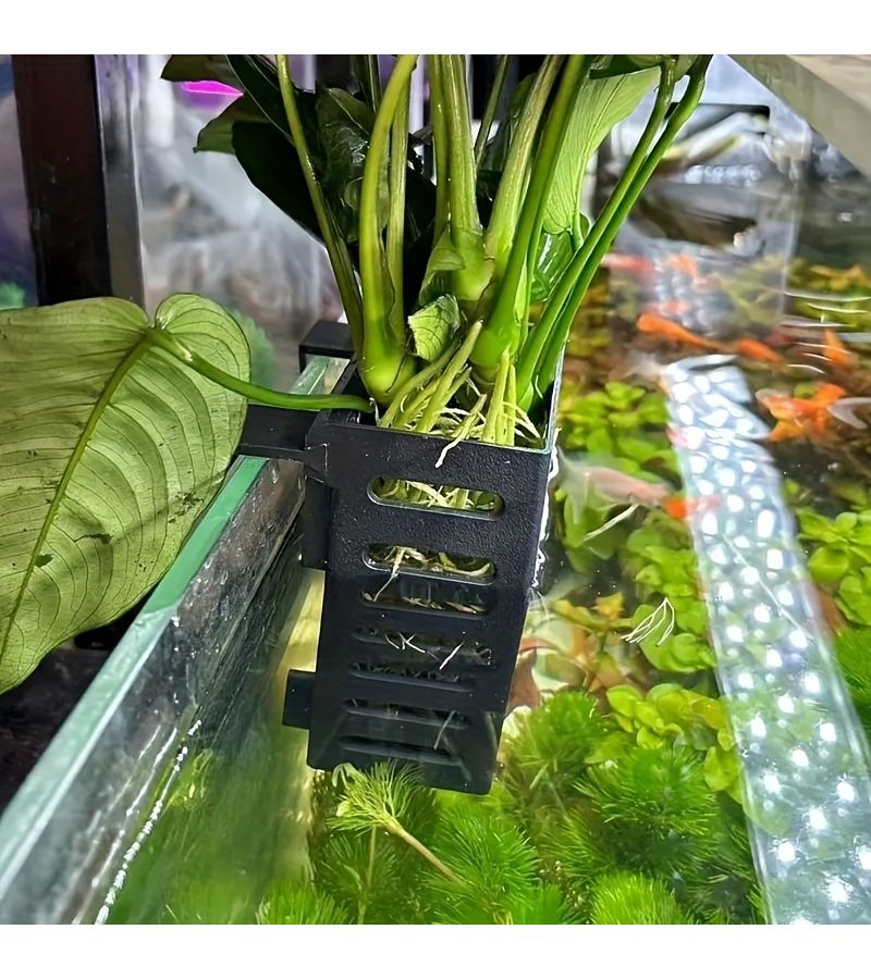 Set Of 2 Black Hydroponic Plant Holders For Fish Tanks Growing Aquatic Plants Wall Mounted - Image 5