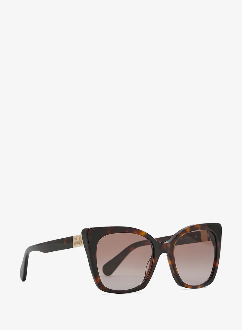 Wayfarers Sunglasses