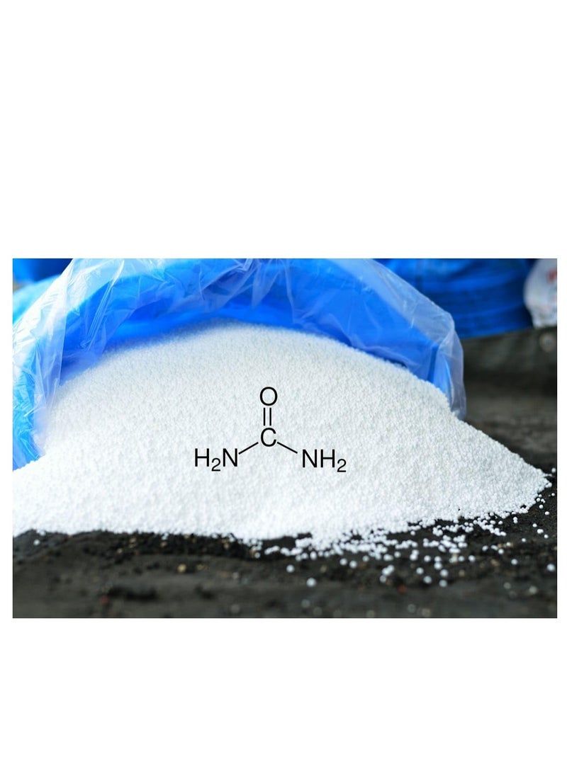 Generic PREMIUM Urea Fertilizer (Ruwais Fertilizer Industries), 46% Nitrogen 1kg  - Image 3