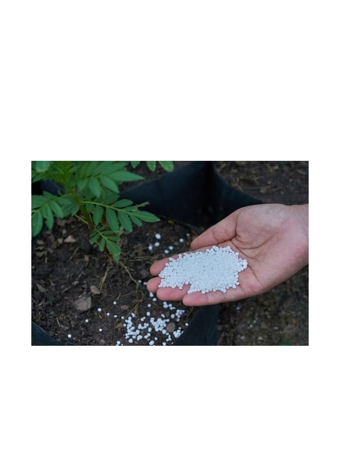 Generic PREMIUM Urea Fertilizer (Ruwais Fertilizer Industries), 46% Nitrogen 1kg  - Image 2