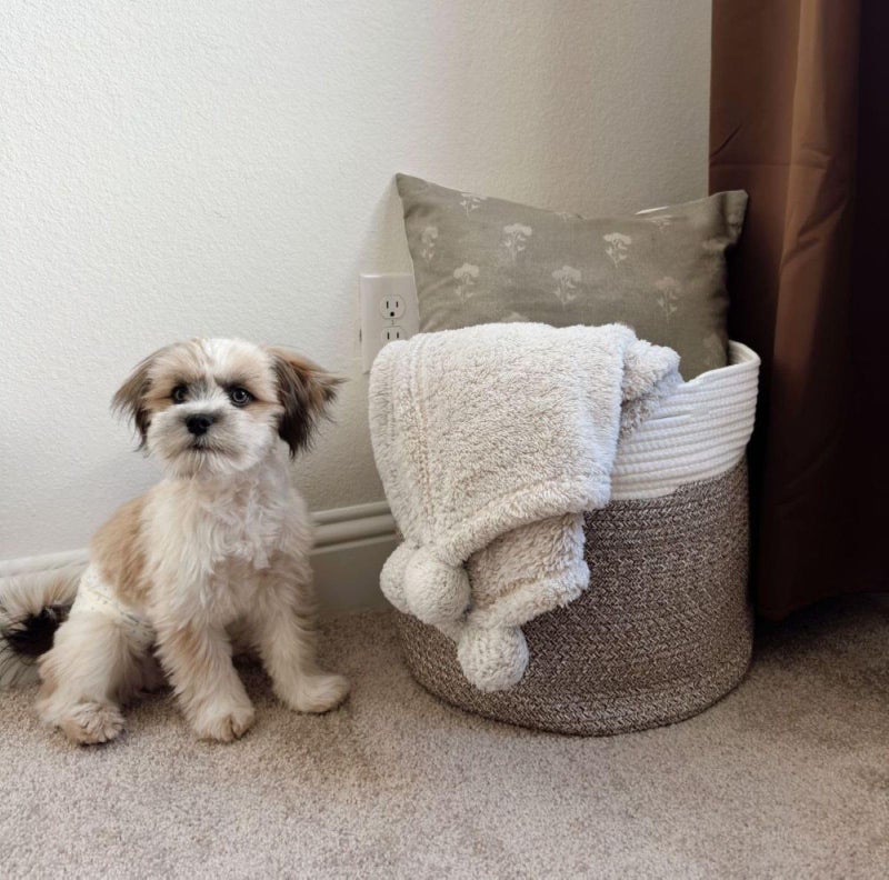 Goodpick 15.8 x 15.8 x 13.8 Inches Blanket Basket - Cotton Rope Baskets for Blankets & Toys, Nursery & Living Room Decor (Soft Material Design) - Image 2