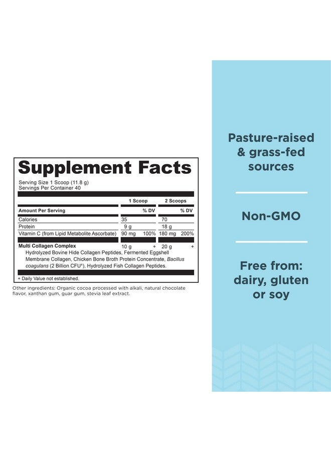 Ancient Nutrition مسحوق بروتين الكولاجين متعدد الكولاجين بنكهة الشوكولاتة 40 حصة مع فيتامين C ببتيدات كولاجين مهدرجة تدعم صحة البشرة والأظافر وصحة الأمعاء 16.65 أونصة - Image 3