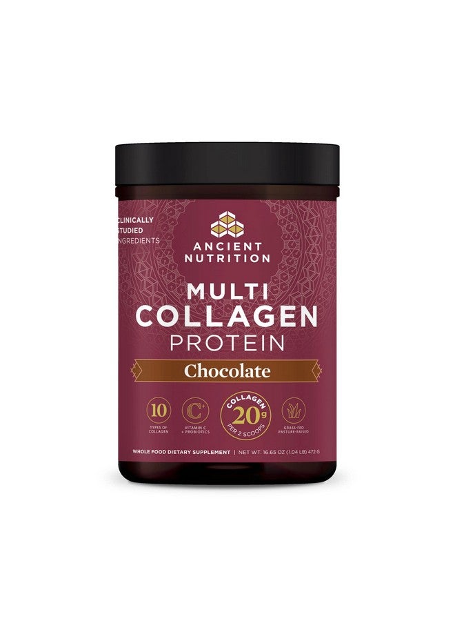 Ancient Nutrition مسحوق بروتين الكولاجين متعدد الكولاجين بنكهة الشوكولاتة 40 حصة مع فيتامين C ببتيدات كولاجين مهدرجة تدعم صحة البشرة والأظافر وصحة الأمعاء 16.65 أونصة - Image 2