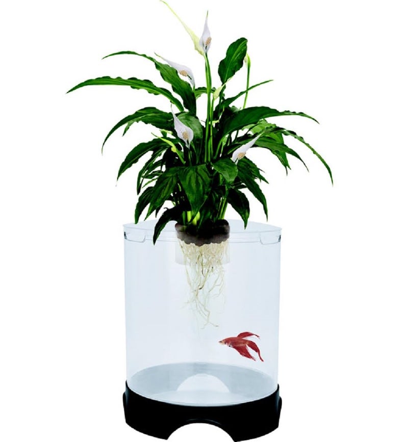 Penn Plax Penn-Plax Aquaponic Planter and Aquarium for Betta Fish | Tank Promotes Healthy Hydroponic Environment for Plants and Fish - Image 1