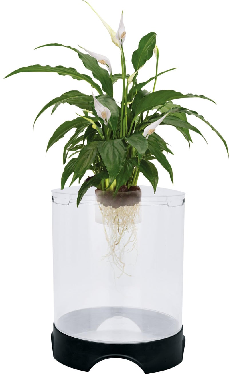 Penn Plax Penn-Plax Aquaponic Planter and Aquarium for Betta Fish | Tank Promotes Healthy Hydroponic Environment for Plants and Fish - Image 2