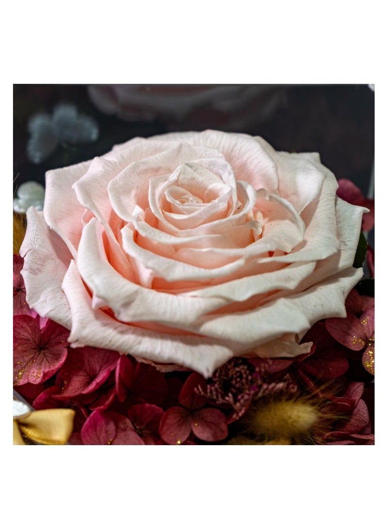 Sofia Nature Eternal Rose Bloom Chocolate Gift Set- Birthday Gift - Image 5