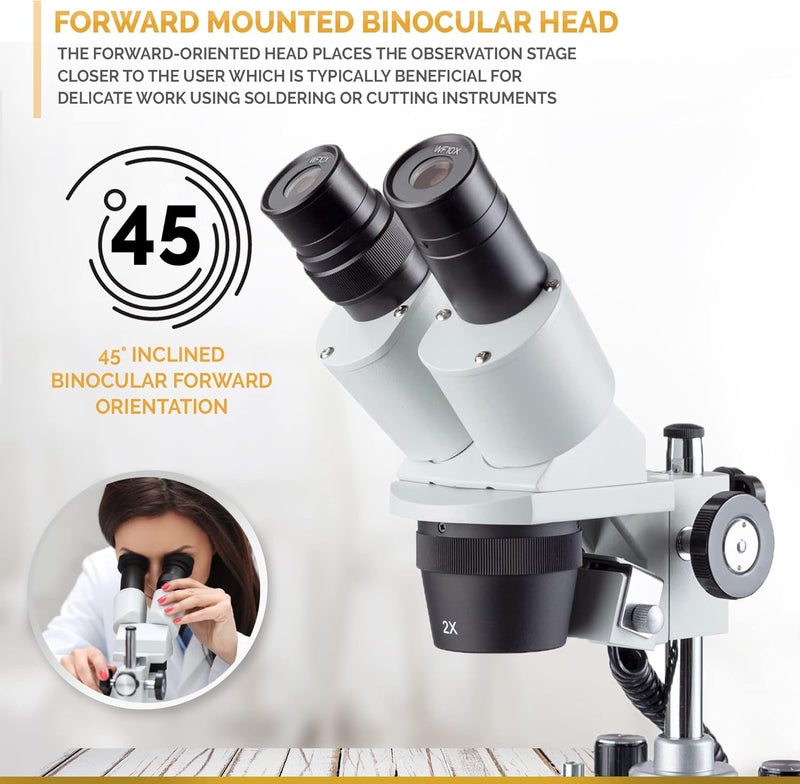 AmScope AmScope SE306RPLED ForwardMounted Binocular Stereo Microscope WF10x Eyepieces 20X and 40X Magnification 2X and 4X Objectives Upper and Lower LED Lighting Reversible BlackWhite Stage Plate Pillar Stand 120V or BatteryPowered  - Image 4