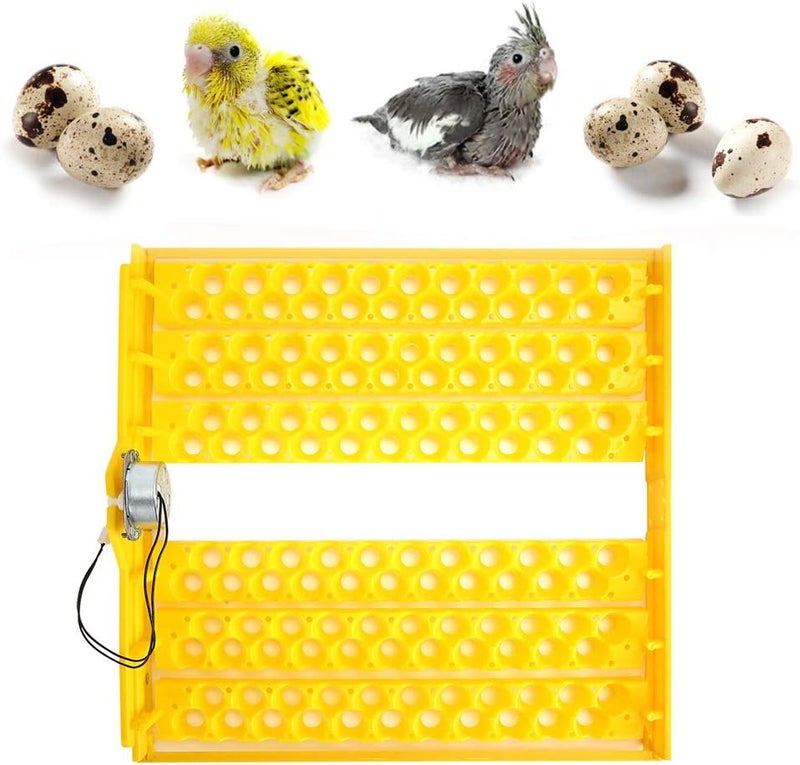 cheekyglo Egg Trays, Egg Incubation Tray, 132Pcs Eggs Automatic Egg Turner Turning Tray Chicken Incubators Incubator Laboratory for Automatic Egg Incubator Tray Incubation Accessory(110V) - Image 2