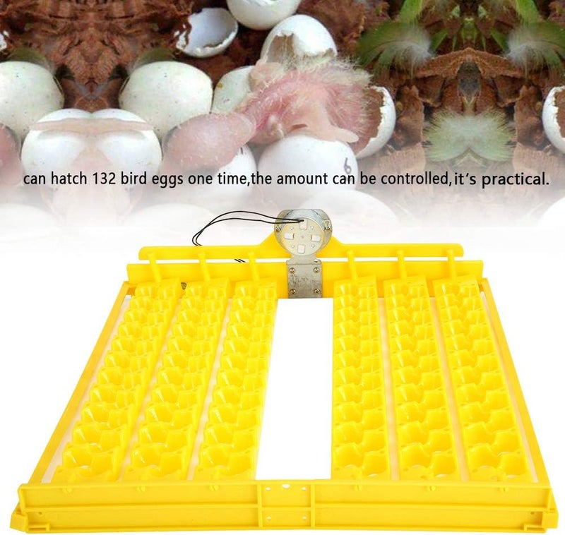 cheekyglo Egg Trays, Egg Incubation Tray, 132Pcs Eggs Automatic Egg Turner Turning Tray Chicken Incubators Incubator Laboratory for Automatic Egg Incubator Tray Incubation Accessory(110V) - Image 3