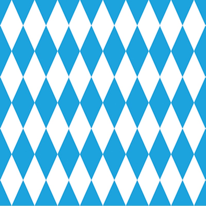 Beistle Oktoberfest Backdrop Oktoberfest Photo Backdrop for InstaTheme Photo Booth Bavarian Blue  White German Wall Decor for Parties 4 x 30