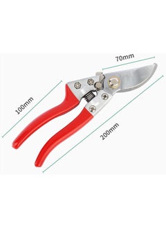 Hand Pruning Shears, Sharp Precision Plant Clippers Garden Pruner for Garden, Bonsai, Fruit Trees Branches Scissors for Cutting Dry Branches - pzsku/ZA7696C82A67ACD3EA614Z/45/_/1720066593/1b2a7e5e-016d-4b27-841a-136d64cd3af0