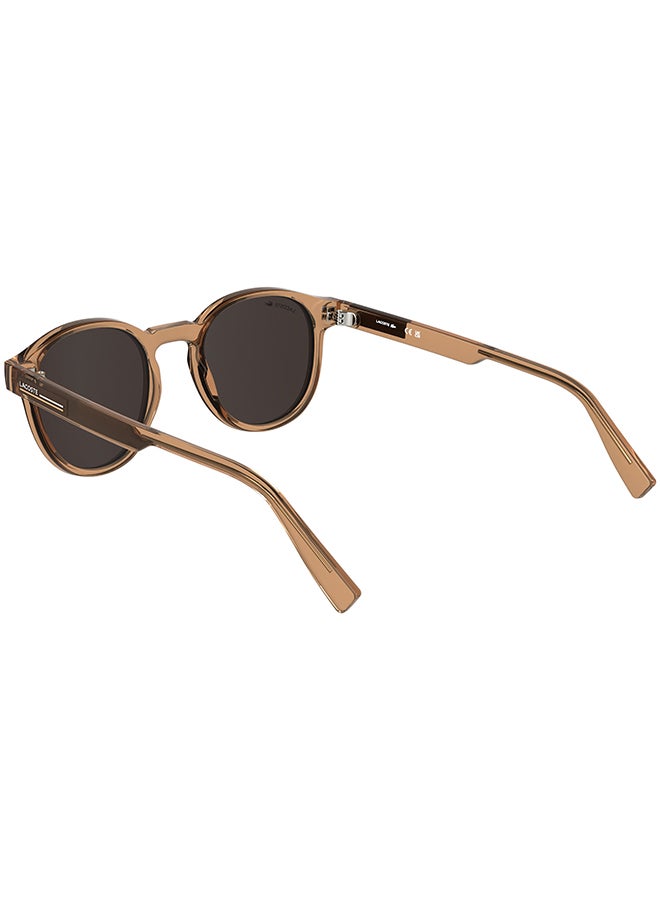 LACOSTE نظارات شمسية لاكوست كاملة الإطار L6055S 5121 (204) شفافة طوب - Image 2