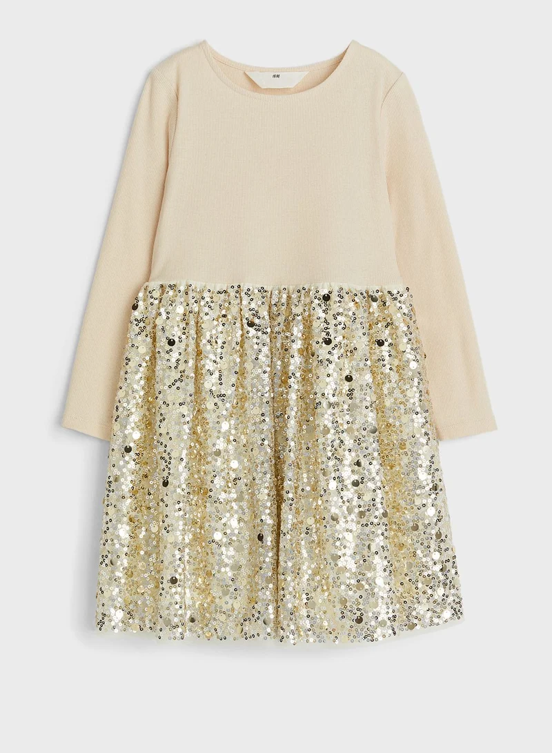 H&M Sequin Party Dress