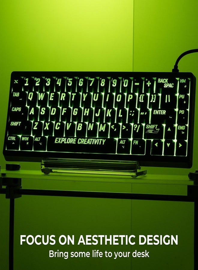 HITIME x XVX Keycaps 60 75 100 Percent - Shine Through Custom Keycaps w/IMD Tech, Large Font, Big Lettering Key Cap for Mechanical Keyboards, Full 118 Key Set, OEM Profile, Black - Image 3