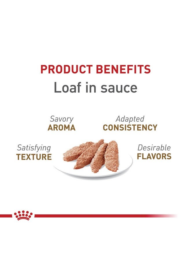 ROYAL CANIN Feline Health Nutrition Aging 12+ Loaf In Sauce Canned Cat Food, 5.1 Oz Can (24Count) - Image 2