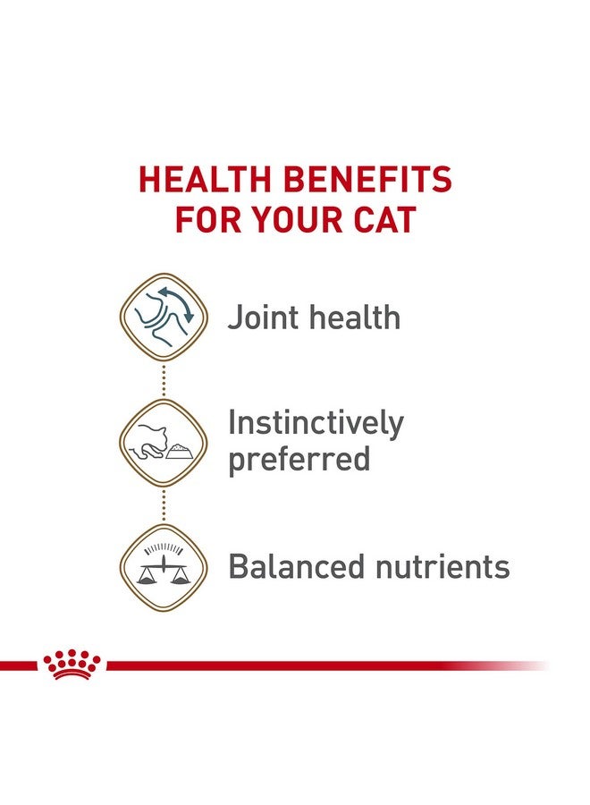 ROYAL CANIN Feline Health Nutrition Aging 12+ Loaf In Sauce Canned Cat Food, 5.1 Oz Can (24Count) - Image 3
