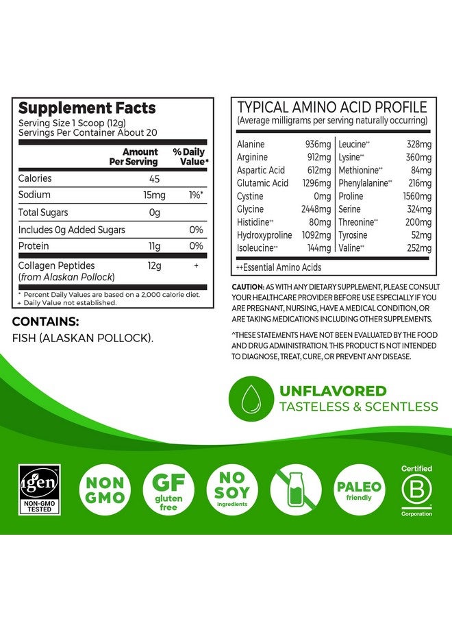 Orgain Orgain Wild-Caught Marine Collagen Peptides Powder for Women & Men, Hair, Skin, Nail & Joint Support Supplement, 12g Collagen Per Serving, Pescatarian & Paleo, Non-GMO, Unflavored, Type I & III, 8.5oz  - Image 2