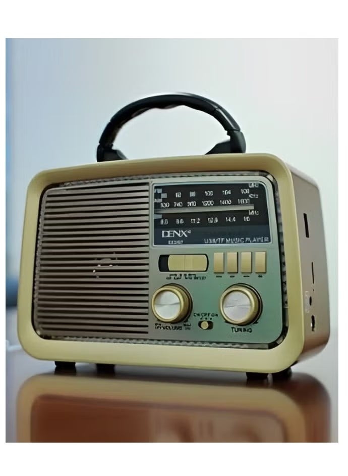 Denx Portable FM/AM/SW Radio – Gold/Brown/Black Bluetooth Audio Player with TF Card, USB Flash Disk, Aux Playback, High-Quality Sound, Rechargeable & Compact for Home and Travel - Image 2