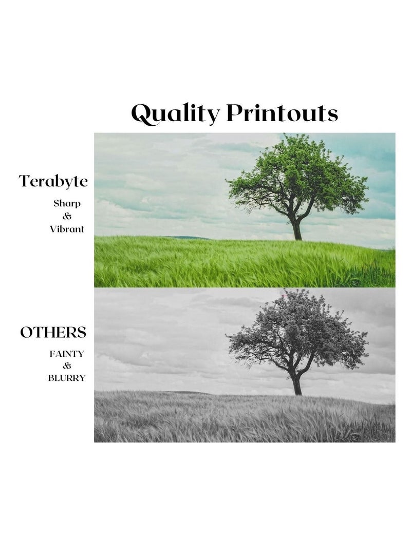 تيرابايت خرطوشة الحبر TN750 أسود - Image 4