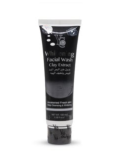 Yong Chin Whitening Facial Wash With Clay Extract 100ml 