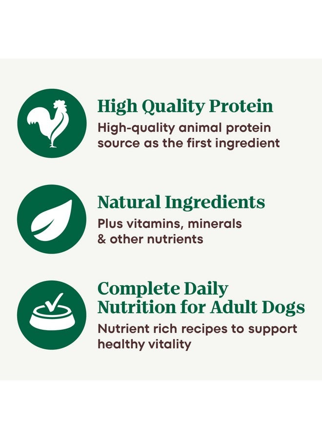 Nutro Natural Choice Premium Loaf Adult Wet Dog Food Turkey Recipe 12.5 oz. Cans (12 Count, Pack of 1) - Image 3