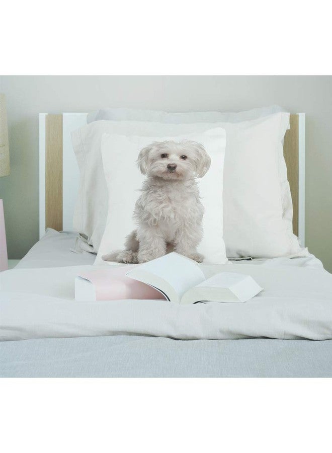 EKOBLA Cute Dog Throw Pillow Cover Maltese Fur Canine Domestic Animal White Purebred Mammal Portrait Cozy Square Cushion Case for Men Women Boys Girls Room Home Decor Cotton Linen 18x18 Inch - Image 3