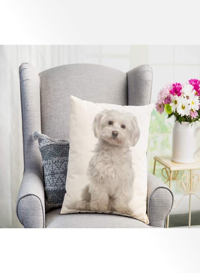 EKOBLA Cute Dog Throw Pillow Cover Maltese Fur Canine Domestic Animal White Purebred Mammal Portrait Cozy Square Cushion Case for Men Women Boys Girls Room Home Decor Cotton Linen 18x18 Inch - Image 4