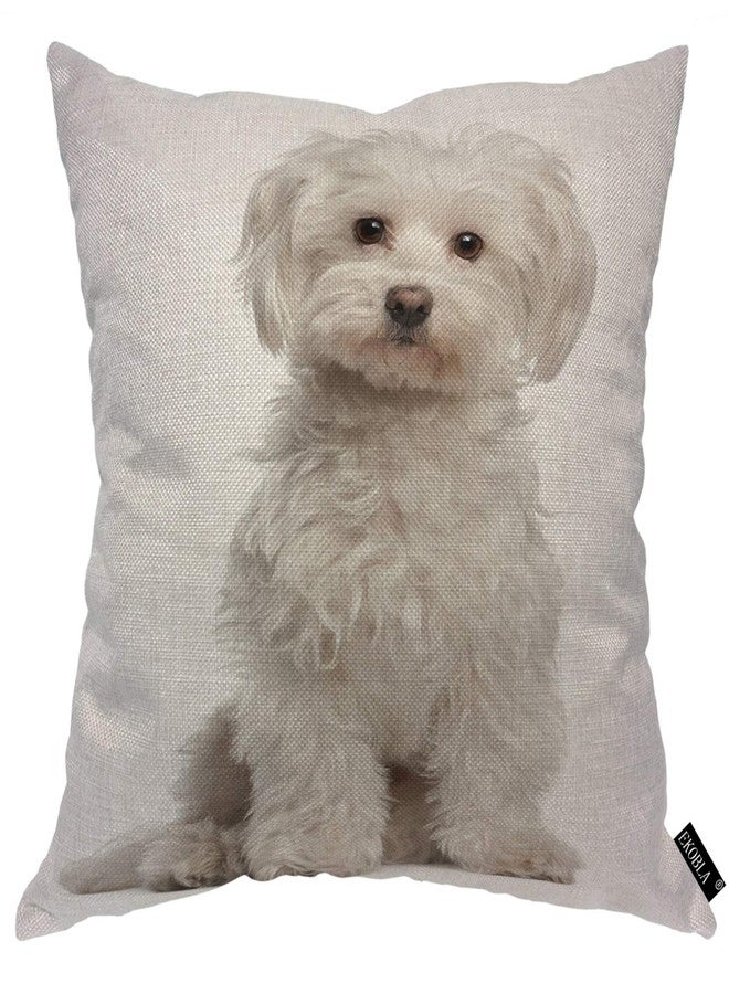 EKOBLA Cute Dog Throw Pillow Cover Maltese Fur Canine Domestic Animal White Purebred Mammal Portrait Cozy Square Cushion Case for Men Women Boys Girls Room Home Decor Cotton Linen 18x18 Inch - Image 1