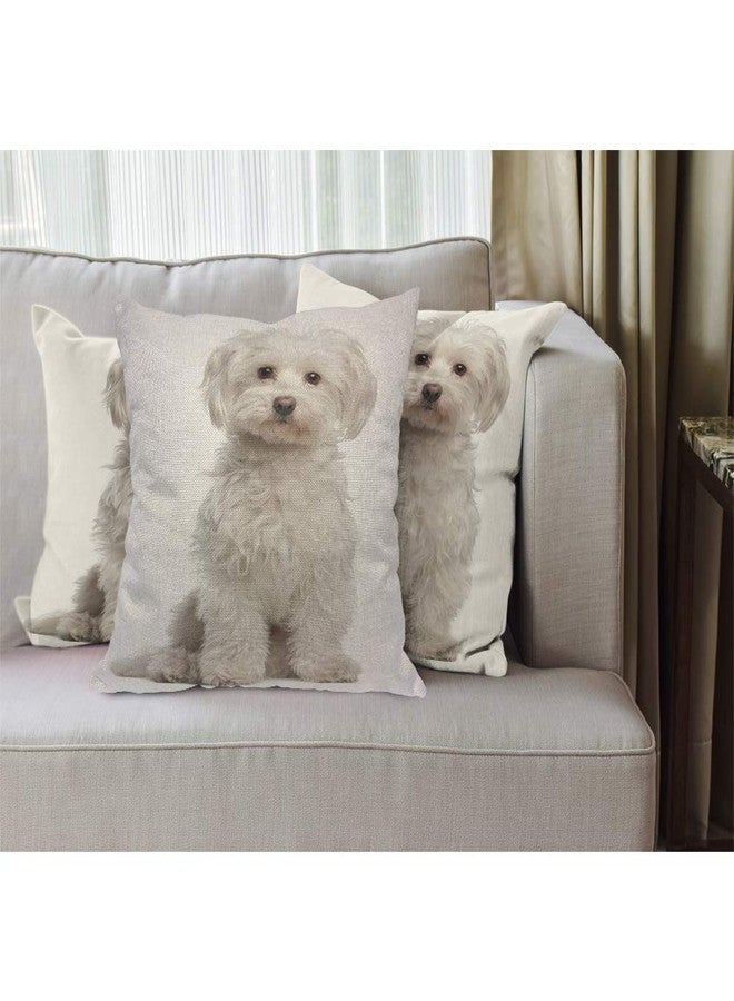 EKOBLA Cute Dog Throw Pillow Cover Maltese Fur Canine Domestic Animal White Purebred Mammal Portrait Cozy Square Cushion Case for Men Women Boys Girls Room Home Decor Cotton Linen 18x18 Inch - Image 2