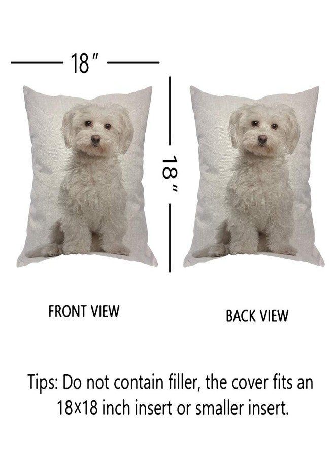 EKOBLA Cute Dog Throw Pillow Cover Maltese Fur Canine Domestic Animal White Purebred Mammal Portrait Cozy Square Cushion Case for Men Women Boys Girls Room Home Decor Cotton Linen 18x18 Inch - Image 5
