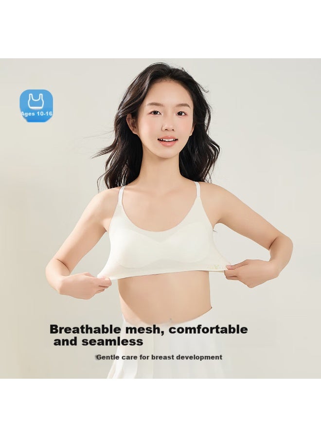Liberal Free Style Teenage Girl Bra Summer Seamless Shockproof Mesh Big Kids Breathable Thin Section For Junior High School Students - Image 4