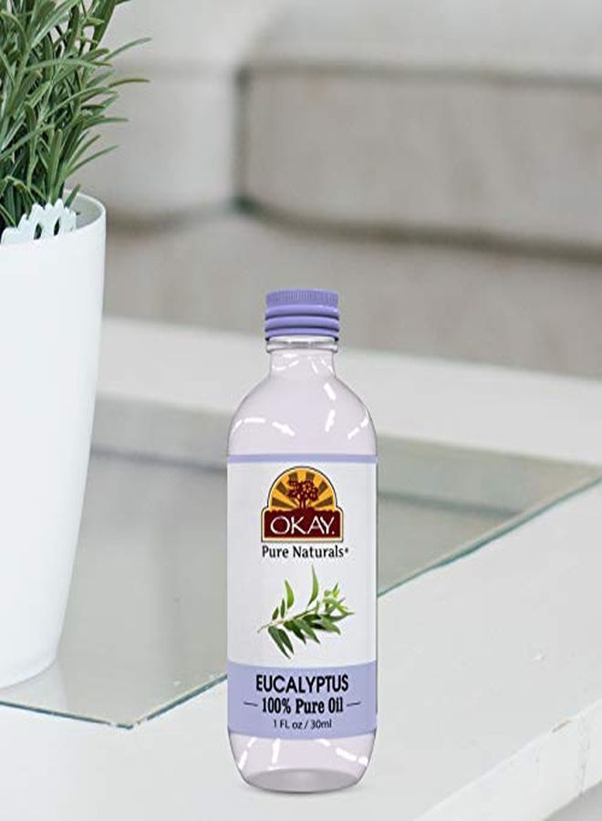 OKAY 100% Pure Eucalyptus Oil | For Hair And Skin | Strengthens Hair | Nourishes Skin | Free Of Silicone & Paraben | 1 Oz - Image 4