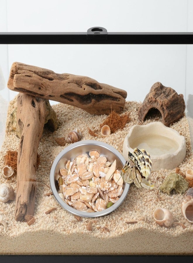 Apausvcm 4 Pack Hermit Crab Food and Water Bowl, Small Stainless Steel Reptile Feeding Dish Bowl Mini Feeding Dishes for Hermit Crab Lizard Gecko Bearded Dragon Chameleon (2" W x 2" D x 0.4" H) - Image 4