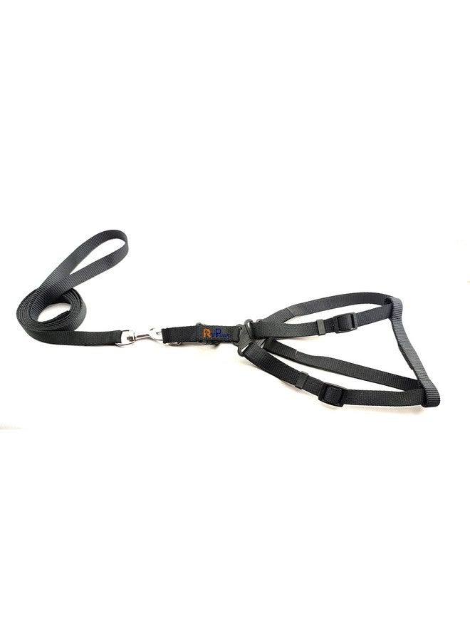 مقود نايلون 15 مم مع حزام 0.5 بوصة قابل للتعديل من النايلون، مثالي للكلاب الصغيرة والجراء - أسود - Image 1