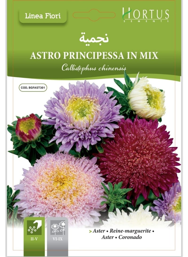 Aster Flower Seeds