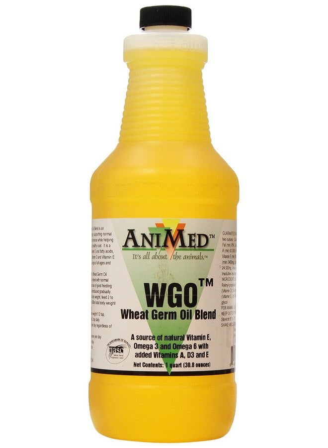 AniMed Wheatgerm Oil Blend for Horses of All Ages and Classes, 32-Ounce - Image 1
