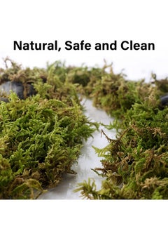 DR.DUDU 5L Forest Moss for Hamster Bedding Nesting, Syrian Gerbils Hamster Cages Accessories, Perfect for Small Animals Terrarium Moss - pzsku/ZA77806FCE1758DA69179Z/45/_/1737031818/901d8f9c-882e-4ac0-9d75-21bca05aefd4