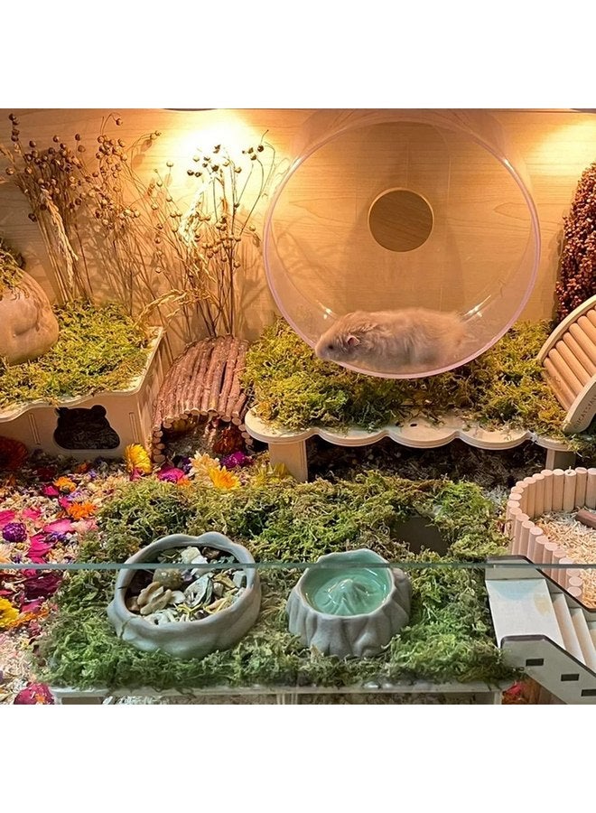 دكتور دودو طحالب الغابات من دكتور دودو 5 لتر لتعشيش الهامستر، وإكسسوارات أقفاص الهامستر للجربوع السورية، مثالية للحيوانات الصغيرة، طحالب التراريوم - Image 5