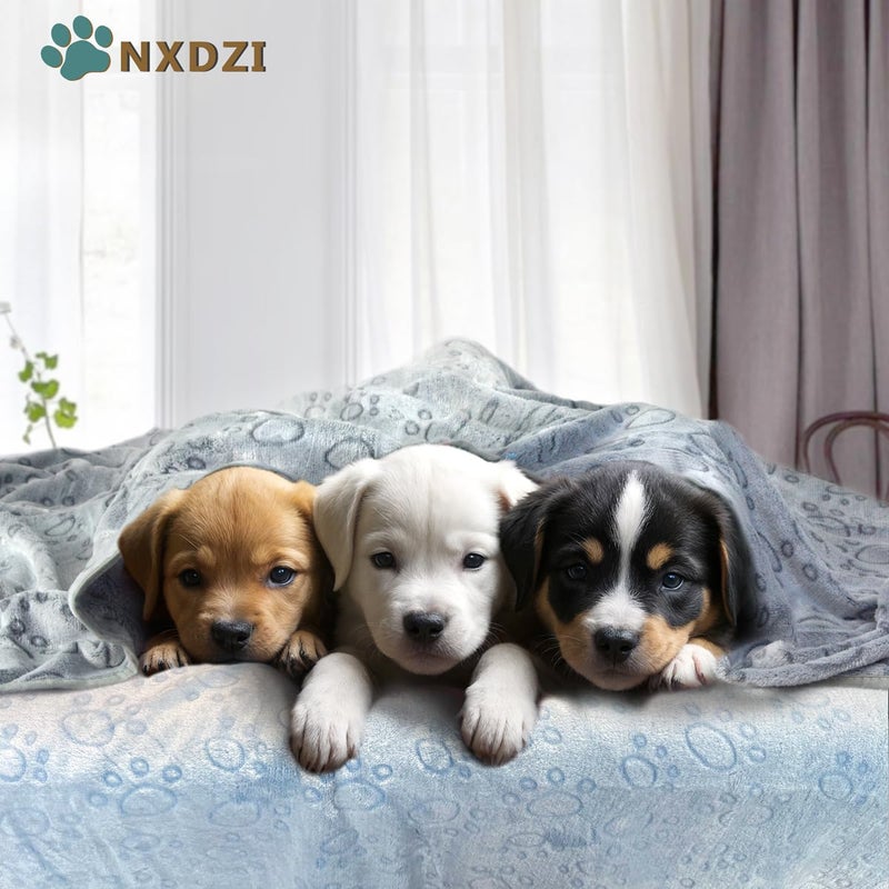 NXDZI 3 Pack Dog Blankets for Small Dogs, 23''x16'' Washable Dog Blanket, Soft Pet Blankets for Catã€Rabbitã€Guinea Pig Small Animal Fleece Bedding Cute Claw Pattern Rabbit Bedding - Image 3