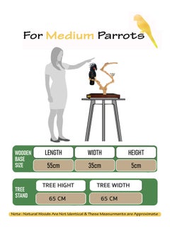 CHEWY BEAK Bird Stand Table Top Natural wooden Parrot Play Stand Indonesian Java wood Tree Perches with Stainless steel feeder medium size  - Image 2