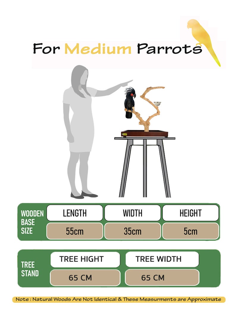 CHEWY BEAK Bird Stand Table Top Natural wooden Parrot Play Stand Indonesian Java wood Tree Perches with Stainless steel feeder medium size - Image 2