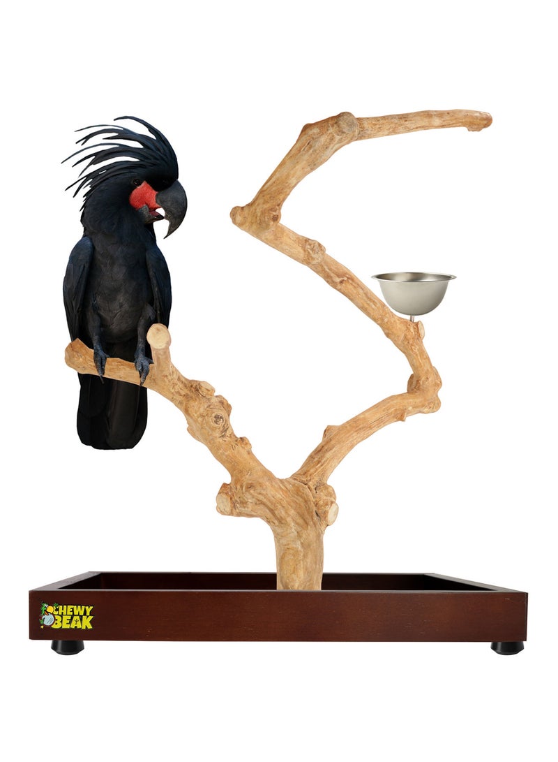 CHEWY BEAK Bird Stand Table Top Natural wooden Parrot Play Stand Indonesian Java wood Tree Perches with Stainless steel feeder medium size - Image 1