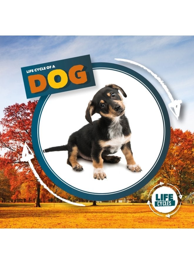 Life Cycle of a Dog - Hardback