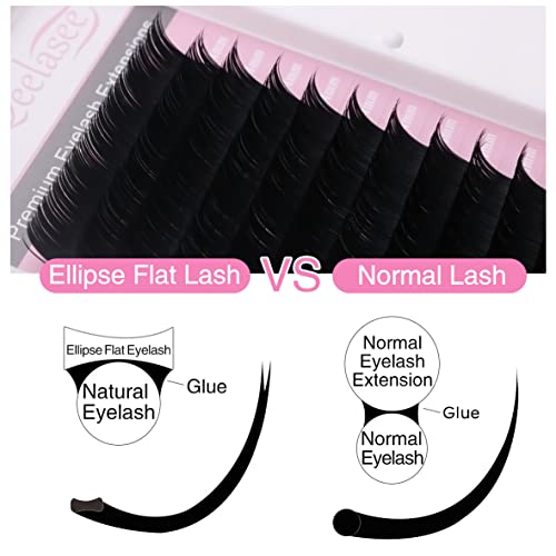 Qeelasee Ellipse Eyelash Extension 0.20mm D Curl 14mm Flat Black Mink Fur False Eyelashes 1 Count - Image 2