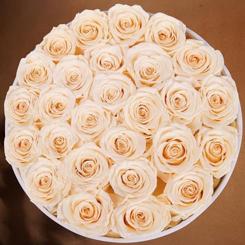 Prifroti 27 Flowers in a Luxury Suede Box, Birthday Gifts for Women, Preserved Flowers, Mothers Day Roses Gift for Mom, Champagne - Image 5
