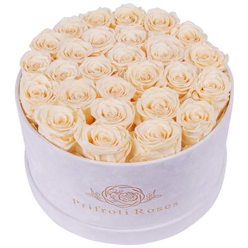 Prifroti 27 Flowers in a Luxury Suede Box, Birthday Gifts for Women, Preserved Flowers, Mothers Day Roses Gift for Mom, Champagne - Image 1