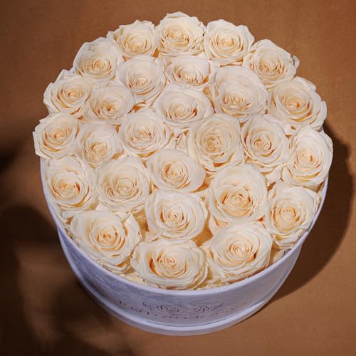 Prifroti 27 Flowers in a Luxury Suede Box, Birthday Gifts for Women, Preserved Flowers, Mothers Day Roses Gift for Mom, Champagne - Image 4