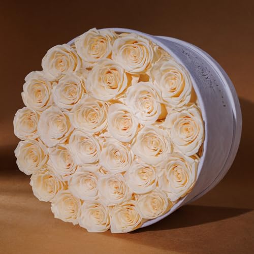 Prifroti 27 Flowers in a Luxury Suede Box, Birthday Gifts for Women, Preserved Flowers, Mothers Day Roses Gift for Mom, Champagne - Image 2